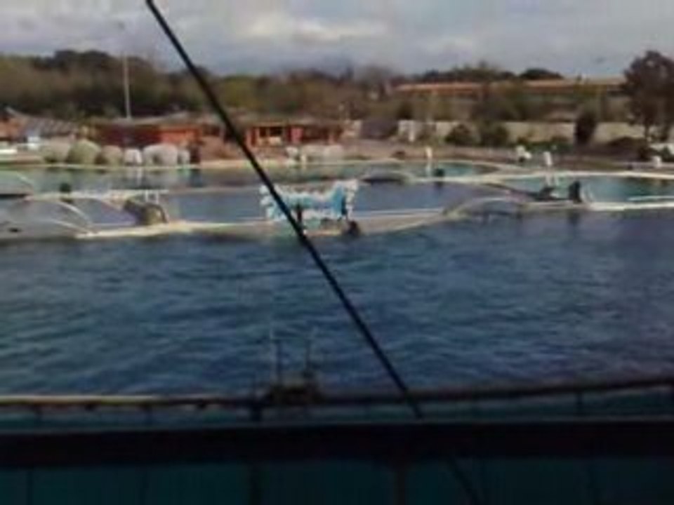 marineland