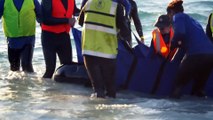 Almost 100 pilot whales stranded on Western Australian coast