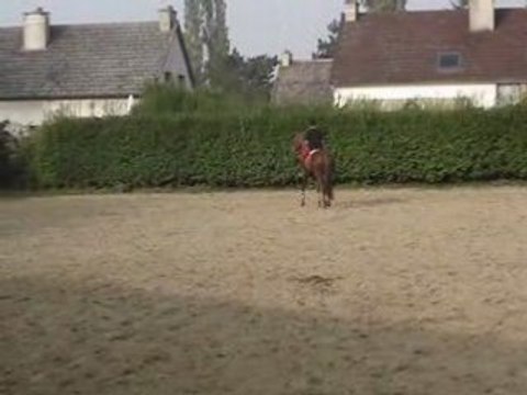 Pauline se fait une frayeurs avec de petits oisillons