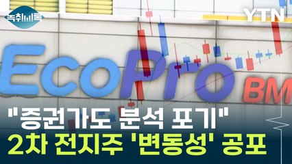 "증권가도 분석 포기했다"...2차 전지주 '변동성' 공포 [Y녹취록] / YTN