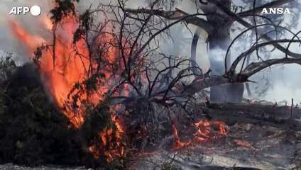 Download Video: Rodi, gli incendi devastano l'isola per l'ottavo giorno consecutivo