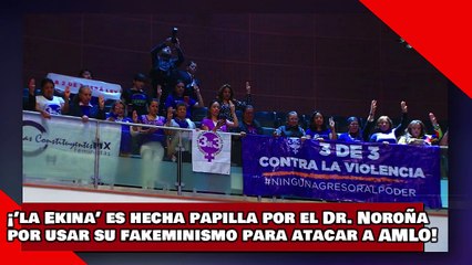 ¡VEAN! ¡’la Ekina’ es hecha papilla por el Dr. Noroña por colgarse del feminismo para atacar a AMLO!