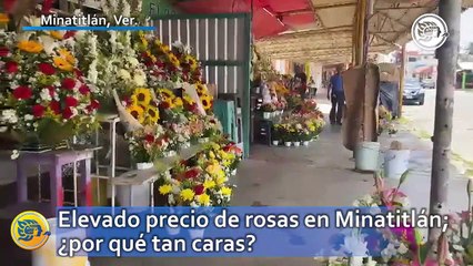 Elevado precio de rosas en Minatitlán; ¿por qué tan caras?