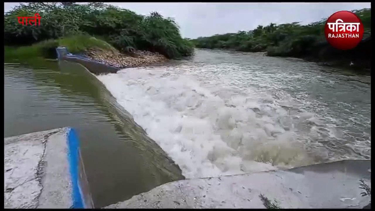 यहां ​व्यर्थ बह रहा बारिश का पानी सहेजा, लबालब हुए चैक डेम, अब 3 हजार बीघा जमीन होगी सिंचित