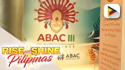 APEC Business Advisory Council, dadaluhan ng higit 200 delegado mula sa 20 bansa