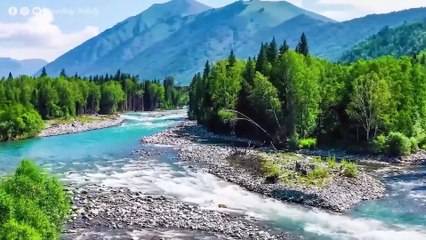 ВОССТАНОВЛЕНИЕ НЕРВНОЙ СИСТЕМЫ  Нежная музыка успокаивает нервную систему и радует душу #14