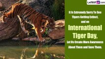 International Tiger Day 2023 Quotes: Messages To Share And Spread Awareness About Preserving Tigers