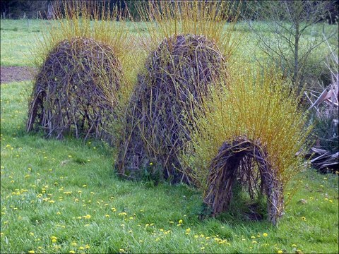 Images insolites - Musique : 2° partie du Set de Vaudreuil (6/8 traditionnel québécois) - Eric : guitares, mandolines.