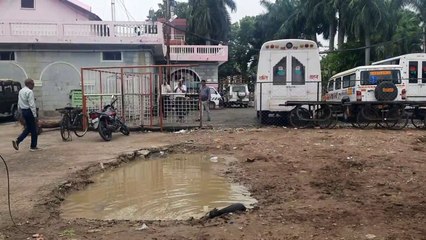 नपा के प्रवेश द्वार पर गडढे से हो रहे मच्छर