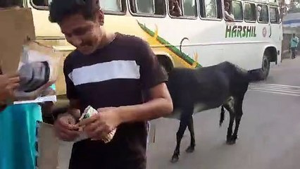 सब्जी मंडी,हाइवे पर बैठे गोवंश के गले में टांगी मंत्री की फोटो