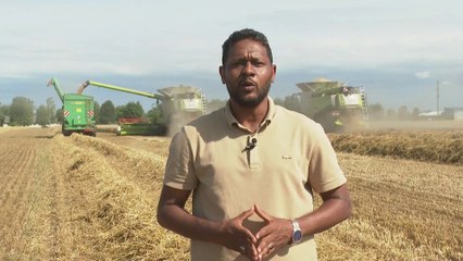 كيف تضرر القطاع الزراعي في أوكرانيا بسبب الحرب؟