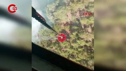 Bolu'daki orman yangını devam ediyor!