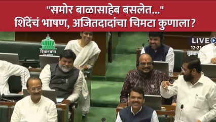Eknath Shinde | मुख्यमंत्र्यांनी बाळासाहेबांचा उल्लेख केला, अजित पवारांनी कुणाला टोमणा मारला? | SA4