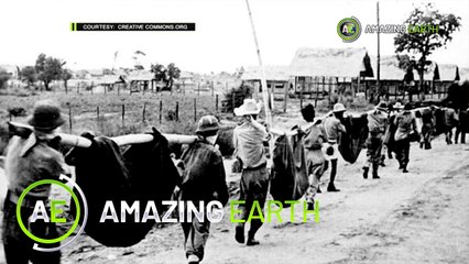 Amazing Earth: Amazing Ghost Stories! (Online Exclusive)