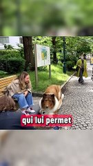 Un Japonais dépense 14000 euros pour devenir un chien