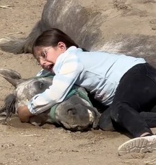 محمد بن راشد يهدي أصغر فارسة في العراق مجموعة خيول.. ويوجه بدعمها لإنشاء مركز تدريبي خاص بها