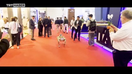 Mehmetçik’e yeni yol arkadaşı: 'Keçi'