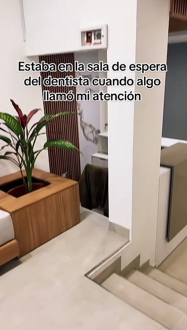 CONOCE LA CASA DEL RATONCITO PÉREZ - Clínica dental SCH