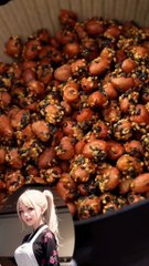 Roasted peanuts in the air fryer without a drop of oil #shorts