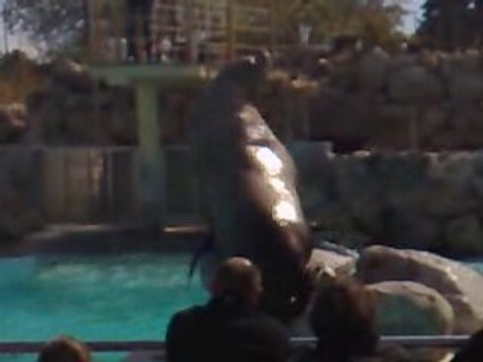 marineland