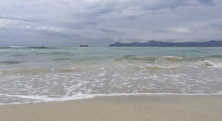 Mallorca: Fische fügen Badegästen blutige Wunden zu