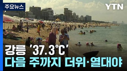 강릉 37.3℃, 29년 만의 더위...밤낮으로 '펄펄' / YTN