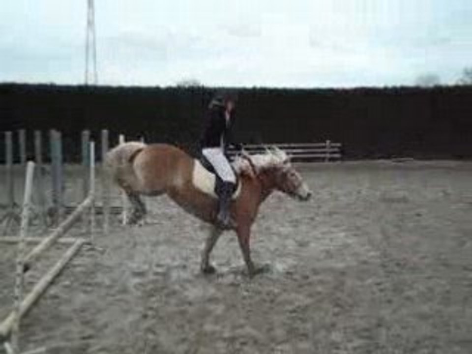 OCTA <3