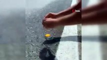 Balıkesir Erdek'te mazgal ve asfaltta yumurta pişirdiler