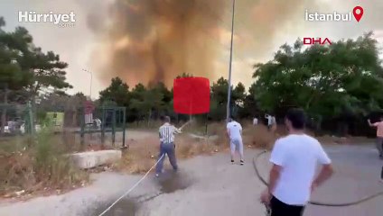 Sultangazi'de orman yangını
