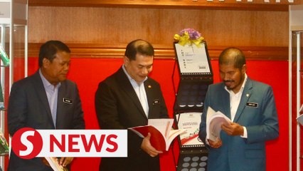 Progressive wage model to be presented to NEAC on Aug 7, says Rafizi