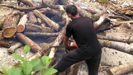 La municipalité de Çamlıhemşin de Rize de l'AKP a réagi en coupant des arbres dans la vallée de Zilkale pour créer un jardin public