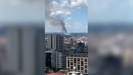 İstanbul Hasdal'da bulunan ormanlık alanda yangın çıktı