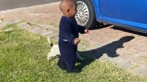 Cute toddler playfully runs around with his equally cute puppy friend *Wholesome*