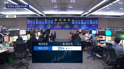 에코프로 급등락에 임원들 대거 매각