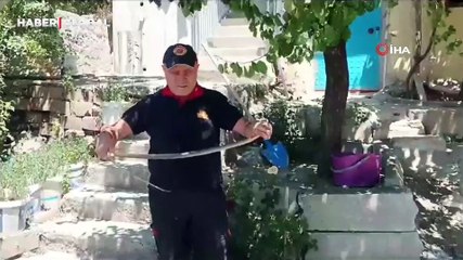 Çorum'da eve giren yılan herkesi dehşete düşürdü