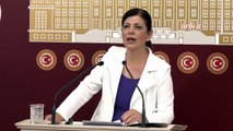 Meral Danış Beştaş: 