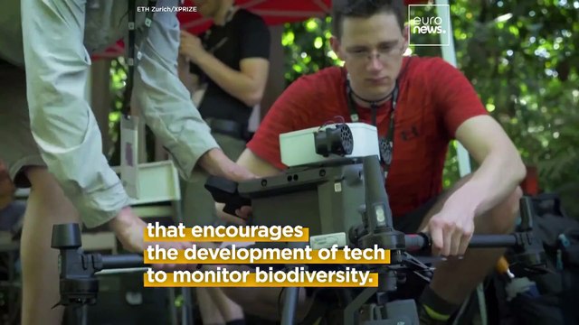 Researchers from Switzerland are using drones to monitor the health of the rainforest