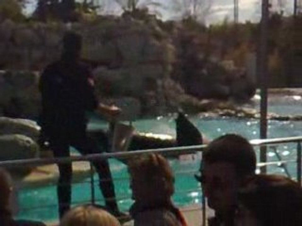 marineland