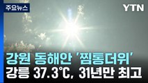 강릉 37.3℃, 29년 만의 7월 최고기온...밤낮으로 '펄펄' / YTN