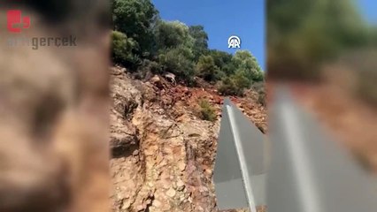 Antalya'da yol kenarında iki dağ keçisi görüntülendi