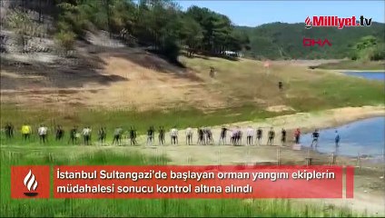 İstanbul'da orman yangını! 'İnsan zinciri' ile su taşındı