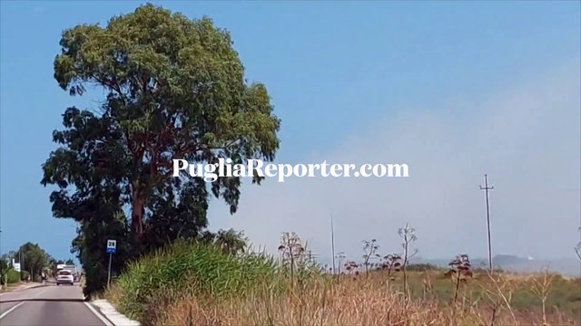 Margherita di Savoia: incendio distrugge vegetazione poco distante dalle saline