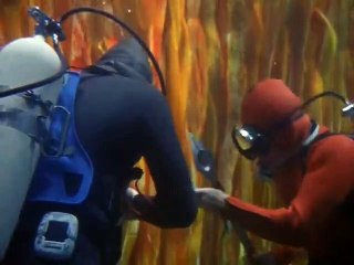 Viaje al Fondo del Mar Temporada 3 Capitulo 15 La criatura