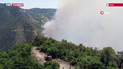 Bolu'da orman yangınına müdahale sürüyor