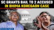 Bhima Koregaon case: SC grants bail to activists Vernon Gonsalves and Arun Ferreira | Oneindia News