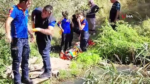 Le chemin voulait traverser la route, quand il est tombé de 10 mètres et s'est cassé le pied, les équipes se sont mobilisées