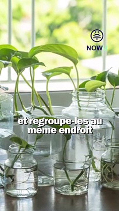 Tu pars en vacances mais...t'as des plantes ?