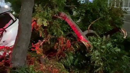 Joven pierde el control y colisiona contra un árbol