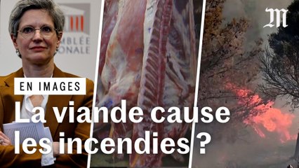 Viande et incendies : ce qu’affirme Sandrine Rousseau est-il vrai ?