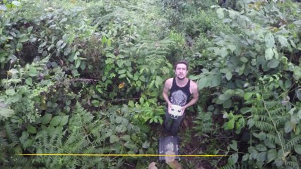 Drones para localizar nidos de orangután y proteger a las poblaciones más aisladas